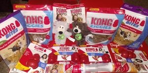KONG 12 items for small dogs